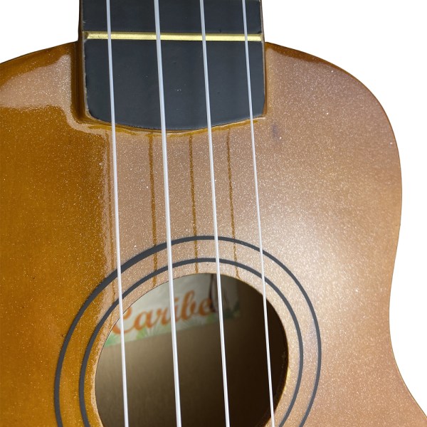 UC-AU01-21S-LB-3